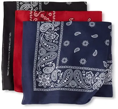 Paisley Print Scarves For Mom - Image 2