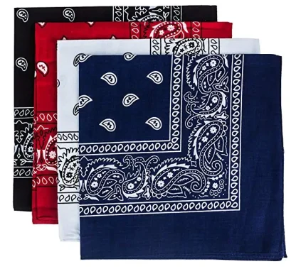 Paisley Print Scarves For Mom - Image 3